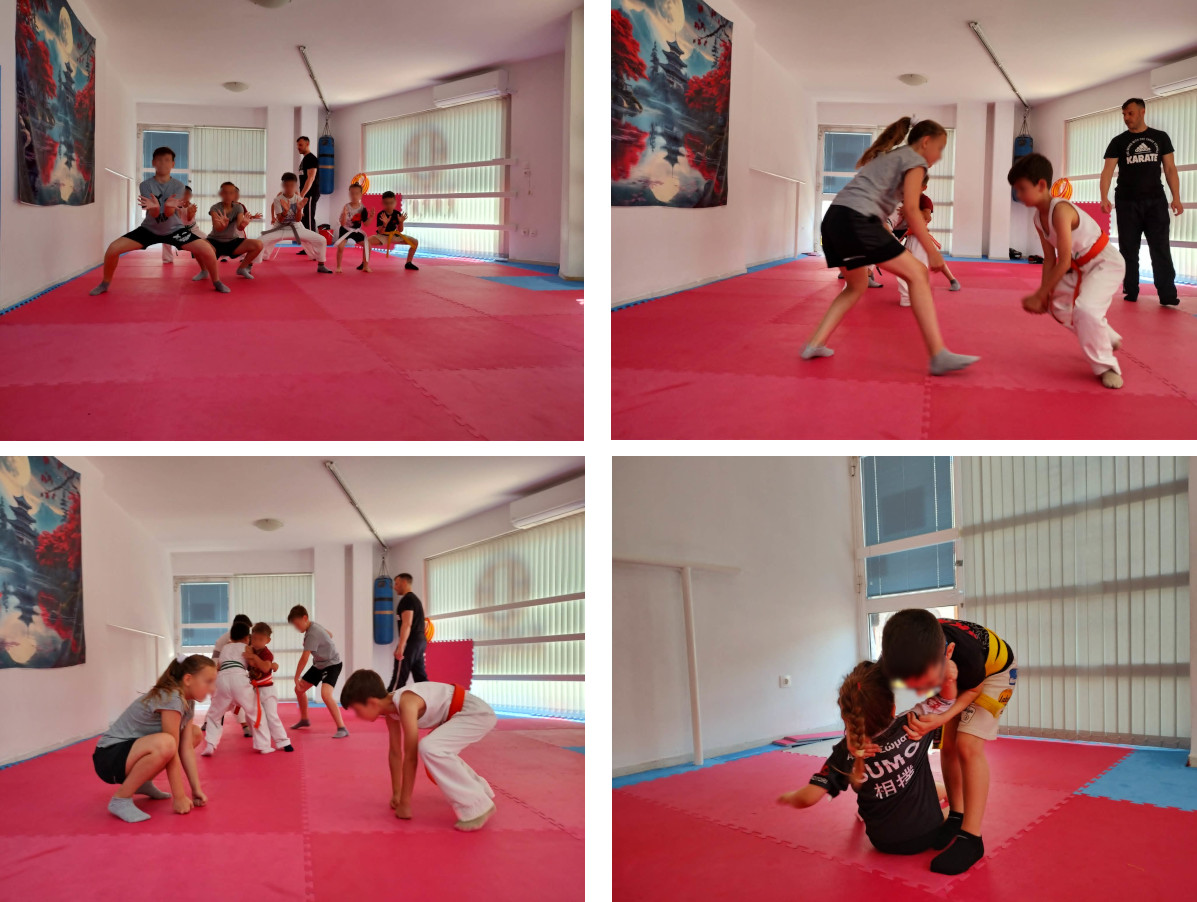 training-with-another-dojo